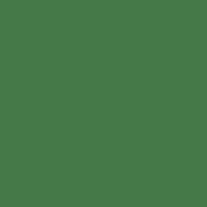 Walimex pro Carton de fond 2,72x10m vert chroma